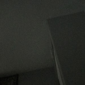 Meet your Posher, Gracie